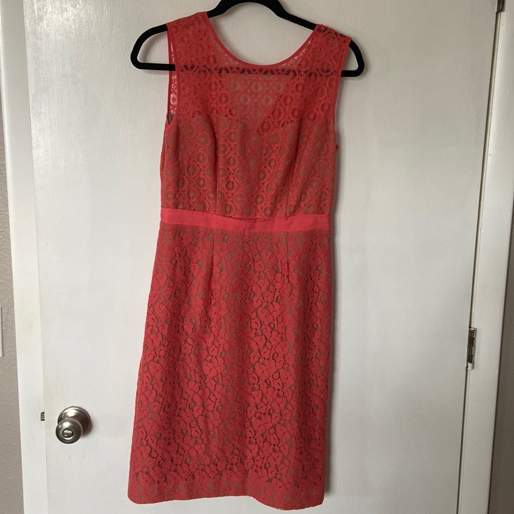 BCBG coral lace midi dress with tan underlay.